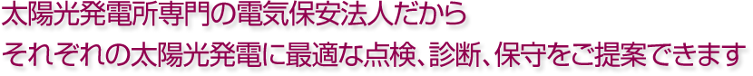 太陽光発電所専門の電気保安法人だからそれぞれの太陽光発電に最適な点検、診断、保守をご提案できます
