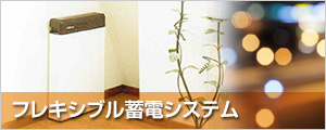 フレキシブル蓄電システム